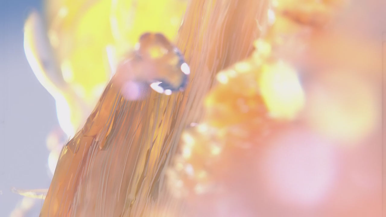 Louis Vuitton Symphony